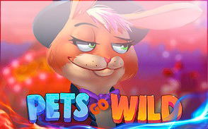 Pets go Wild Pets go Wild