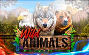 Wild Animals Wild Animals