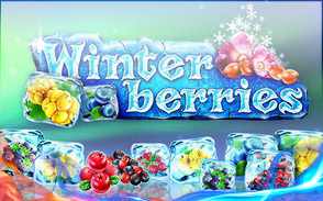 Winter Berries Winter Berries